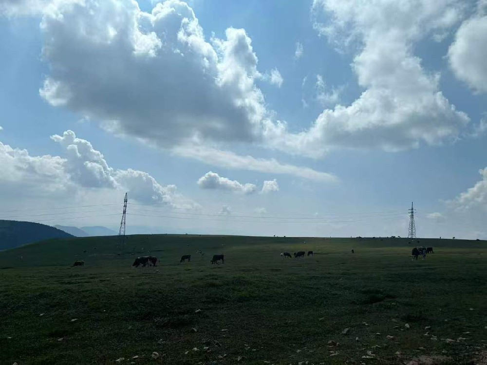 強化風電設備防護，晨虹醇酸底漆助力綠色能源穩(wěn)健前行